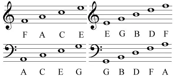 How to Read Sheet Music Basics